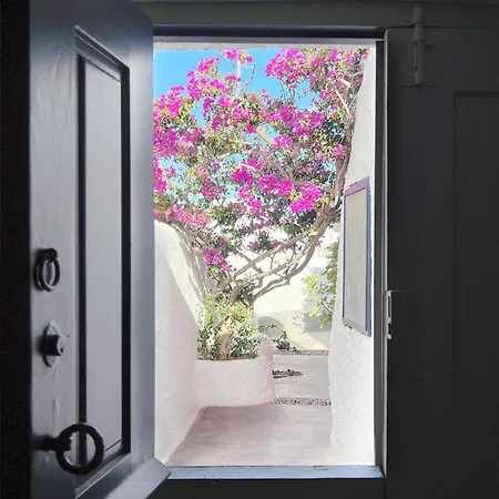 The Red Winehouse Willa