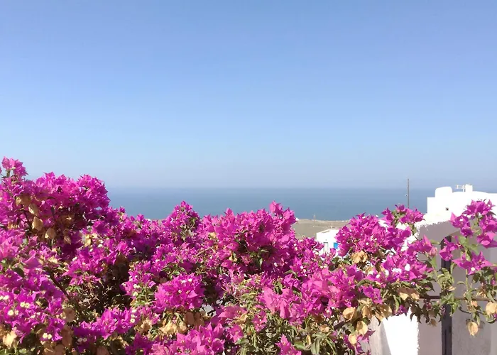 The Red Winehouse Villa