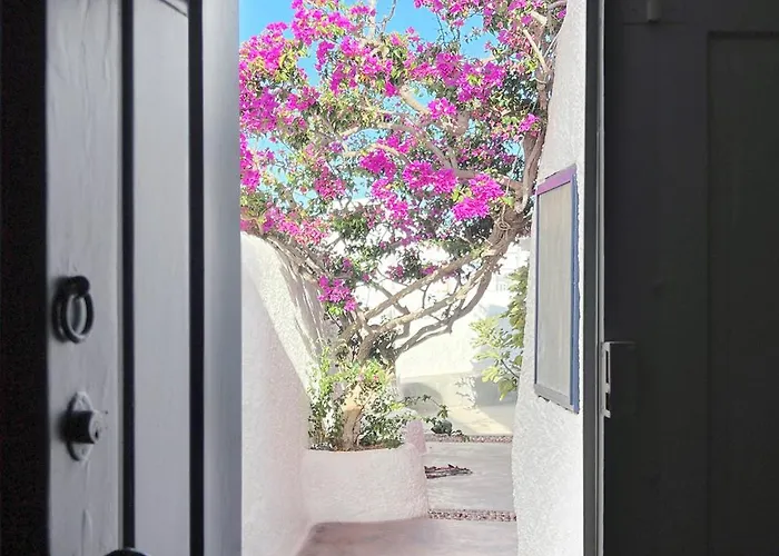 The Red Winehouse Villa